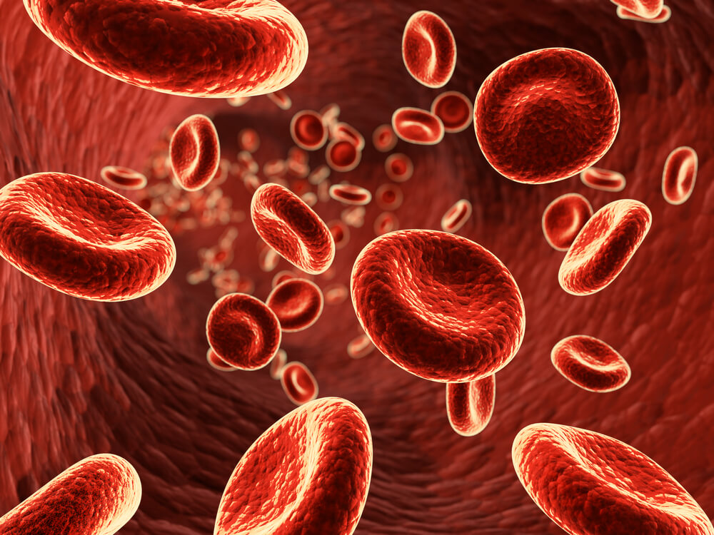 Hemoglobina glikowana – normy. Jak obniżyć jej poziom?